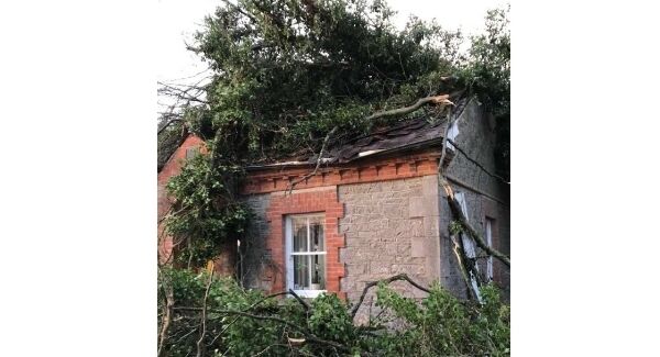 A Co Meath mum had a lucky escape when two trees came crashing through her home during storm Eleanor. A Co Meath mum had a lucky escape when two trees came crashing through her home during storm Eleanor.