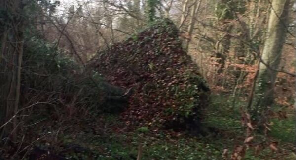 Damage done by storm Eleanor. Damage done by storm Eleanor.