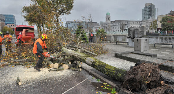 Cork City Council workers begin the clean-up efforts yesterday following the sweeping effects of Storm Ophelia which downed this tree on South Mall. Picture: Daragh McSweeney Cork City Council workers begin the clean-up efforts yesterday following the sweeping effects of Storm Ophelia which downed this tree on South Mall. Picture: Daragh McSweeney