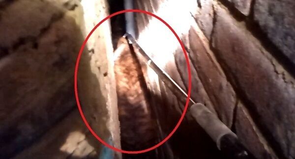 Photo issued by the RSPCA of Taba wedged between a wall and a conservatory when she was spooked by fireworks after fleeing home. Photo issued by the RSPCA of Taba wedged between a wall and a conservatory when she was spooked by fireworks after fleeing home.