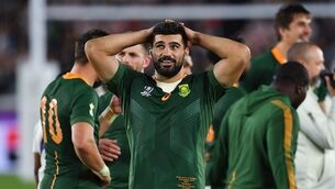 Munster confirm talks with two South Africa World Cup winners