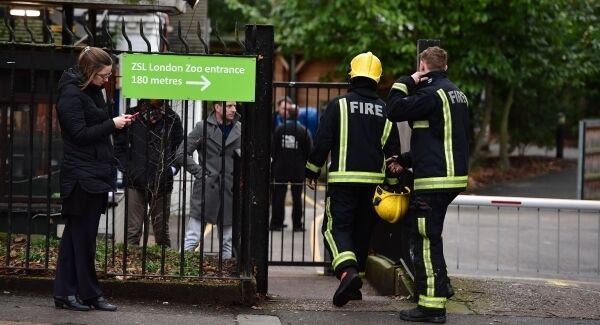 Firefighters entering London Zoo where they attended a blaze at Adventure cafe and shop near the Meerkat enclosure.