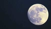 Cold Moon set to provide close-up for stargazers