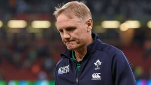 Leinster boss ‘gutted’ for Schmidt and Ireland