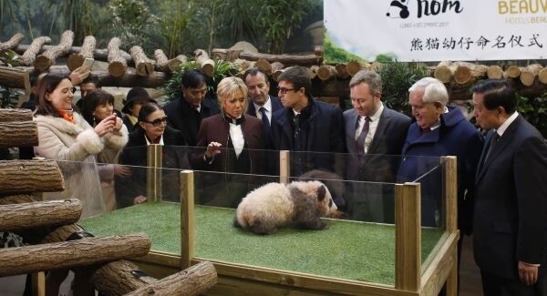 French First lady Brigitte Macron, centre left, attends with officials a naming ceremony of the panda born at the&nbsp;Beauval Zoo. (AP Photo/Thibault Camus, Pool)