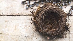 Life after they leave - adjusting after children leave the home