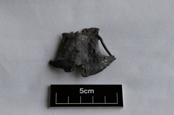 Pilgrim badge from Canterbury, 13th century. Picture: Maurice F Hurley