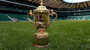 South Africa recommended to host RWC 2023; Ireland bid team 'will compete to the final whistle'
