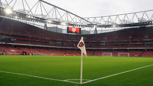 Arsenal taking action over mice infestation at Emirates Stadium