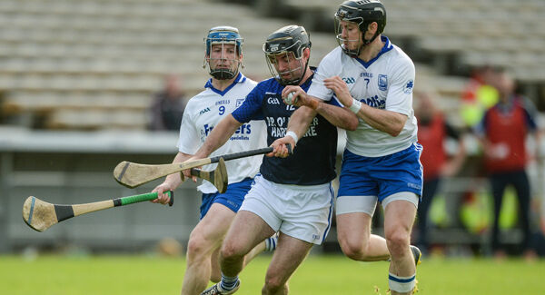 Picture: Sportsfile