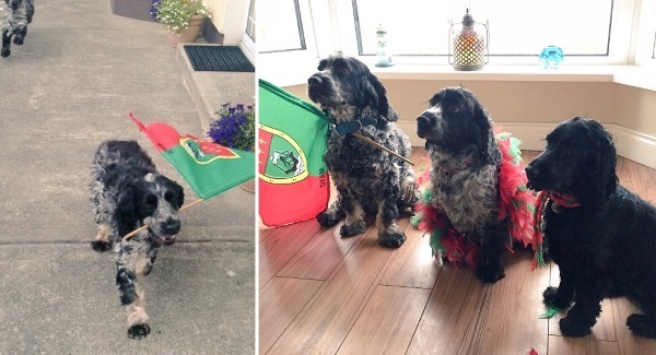 Game on: Take a look at how GAA fans are preparing for today's All-Ireland