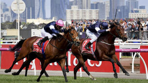 'Irish trainers are world leaders': Racing world reacts to phenomenal Melbourne Cup 1-2-3