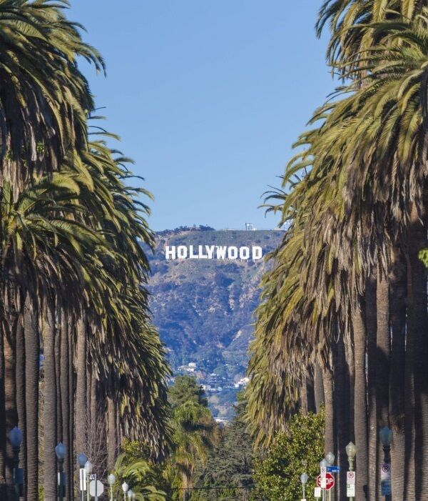 A photo of a palm tree lined street with the Hollywood sign in the background.