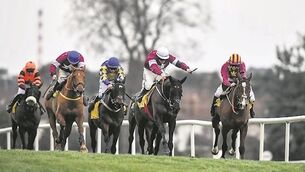 Bookies as confused as punters over Cheltenham Gold Cup