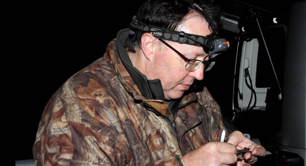Bat expert Conor Kelleher Bat expert Conor Kelleher