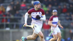 UL win sixth Fitzgibbon Cup title against DCU