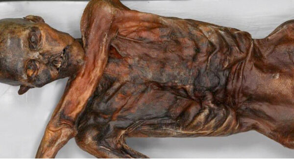Otzi the Iceman, who was discovered, in the Alps in 1991, ate pancakes 5,300 years ago. Otzi the Iceman, who was discovered, in the Alps in 1991, ate pancakes 5,300 years ago.