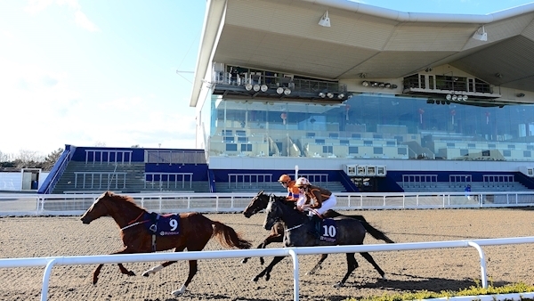Race voided at Dundalk following fall for apprentice Ryan