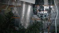 'Sophisticated grow house' with 137 cannabis plants found during house fire in Dublin