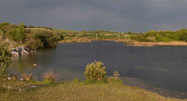 The quarry near Knockanean. Photo: Liam Burke/Press 22.