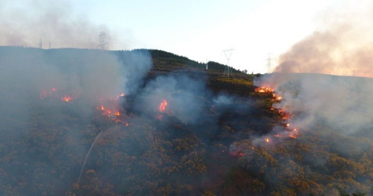 Gorse fires in Dublin Mountains extinguished by Dublin Fire Brigade