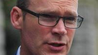 'No' side trying to sow confusion in final hours before referendum - Coveney