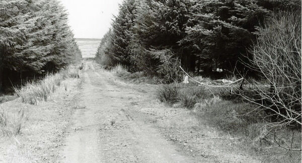 The scene at Ballypatrick Forest on the outskirts of Ballycastle, Co Antrim, where the body of Inga Maria Hauser was found in 1988. Pic: PSNI/PA Wire The scene at Ballypatrick Forest on the outskirts of Ballycastle, Co Antrim, where the body of Inga Maria Hauser was found in 1988. Pic: PSNI/PA Wire