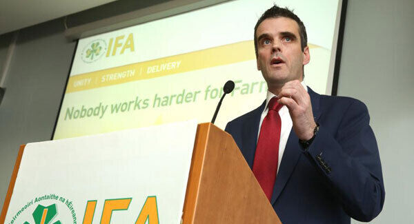 Joe Healy