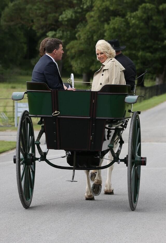 Camilla rides in a jaunting car as she arrives for a visit to Muckross House in Co Kerry (Brian Lawless/PA) Camilla rides in a jaunting car as she arrives for a visit to Muckross House in Co Kerry (Brian Lawless/PA)