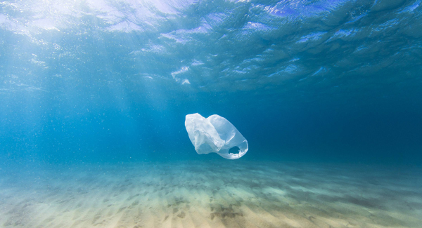 Negative impact of plastic highlighted on World Ocean Day