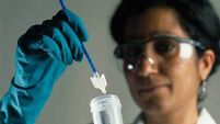 Irish Cancer Society calls on government to introduce gender-neutral vaccination into budget