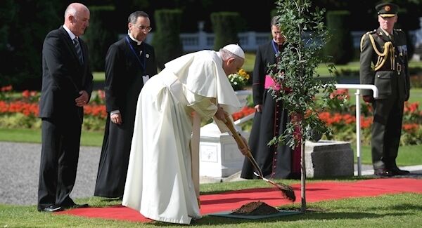 Pope Francis plants a tree during a meeting with Irish President Michael D Higgins, at Aras an Uachtarain in Phoenix Park, Dublin, as part of his visit to Ireland. (Joe Giddens/PA)