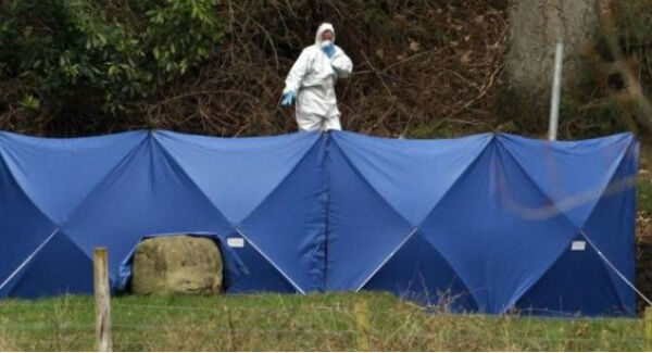The scene where the bodies of the two men were found in a burnt out car in Ravensdale Park, Louth in March 2012. Photo: Niall Carson/ PA Wire