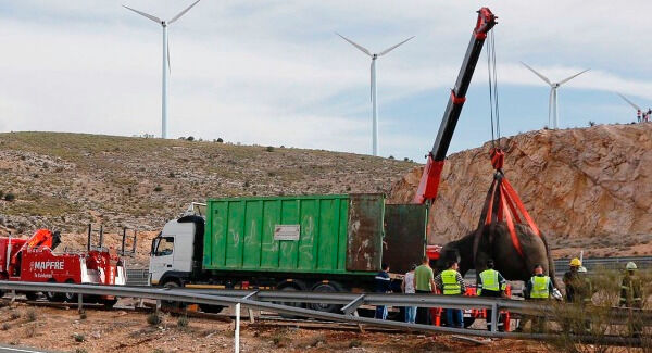 An elephant is lifted up by a crane after a circus truck carrying elephants turned over a long a major motorway in the South Eastern region of Albacete, Spain. (El Digital de Albacete/MarÂ’a Guerrero via AP) An elephant is lifted up by a crane after a circus truck carrying elephants turned over a long a major motorway in the South Eastern region of Albacete, Spain. (El Digital de Albacete/MarÂ’a Guerrero via AP)