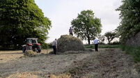 Three men make hay the old-fashioned way