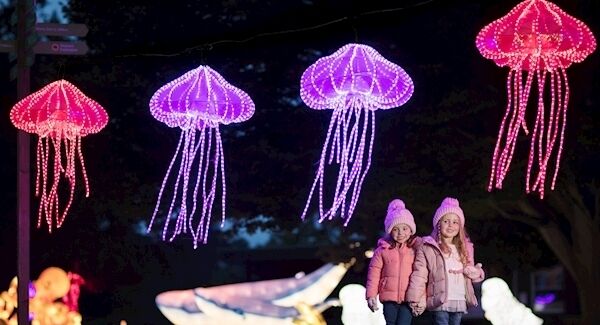 Pics by Patrick Bolger