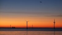Seabirds avoid offshore wind turbines more than expected, study finds