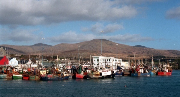 Irish fisherman catches rare white lobster in West Cork