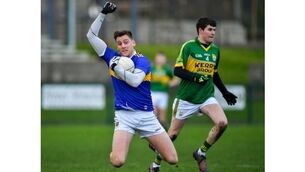 Referees briefed on clarifications to advanced mark and sin-bin rule