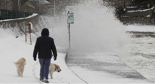 Irish factory output dented by Storm Emma