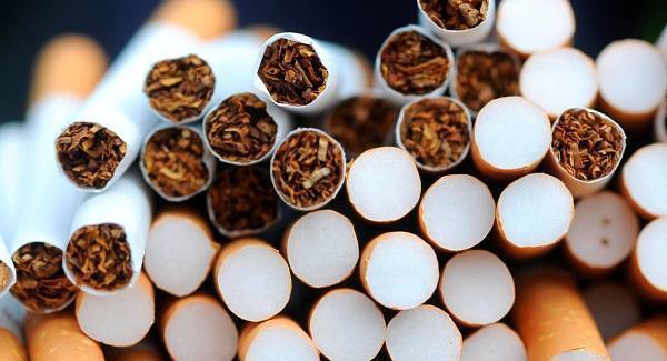 Vice Fund tempted by more than tobacco and booze