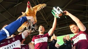 The famine is over: Borris-Illeigh's end 33-year wait for Tipperary title