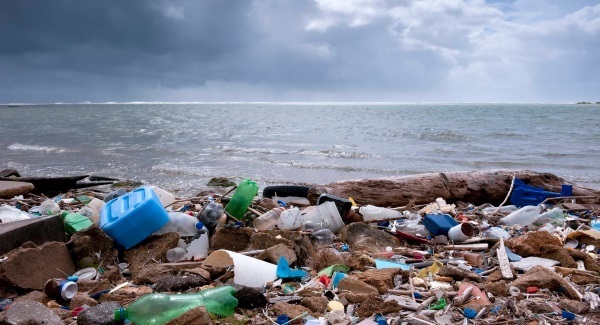 Deposit return scheme would have little impact on litter