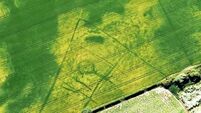 Seen from the air, the dry summer reveals an ancient harvest of archaeological finds