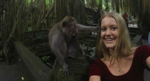 Women taking a selfie with a monkey. Women taking a selfie with a monkey.