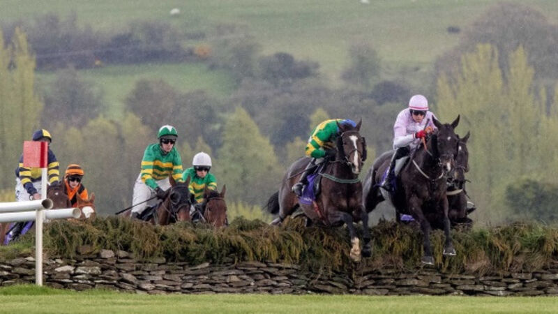 Sad postscript to Enda Bolger's 14th La Touche Cup win Sad postscript to Enda Bolger's 14th La Touche Cup win