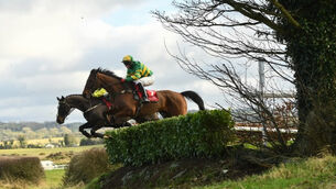 Punchestown tips: Auvergnat can defy top weight in La Touche Cup