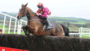 Punchestown tips: Monalee looks likely to take a world of beating