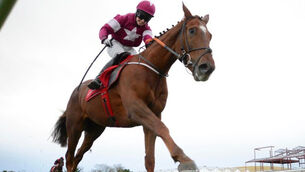 Three big-priced horses worthy of support at Cheltenham