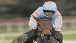 Cheltenham Tips Day 3: Terrefort can deliver in opener